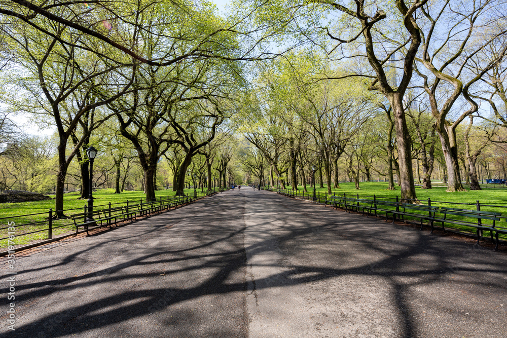 The Mall-Central Park, Manhattan, New York City in Spring