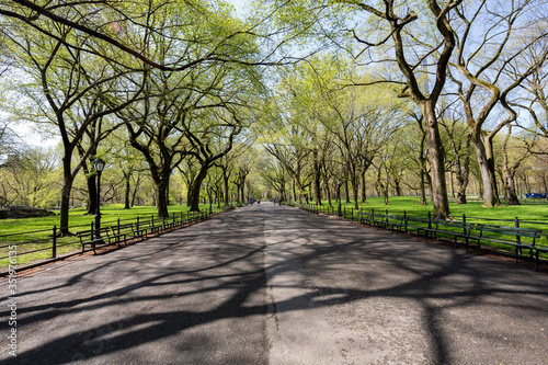 Obraz na płótnie The Mall-Central Park, Manhattan, New York City in Spring w salonie