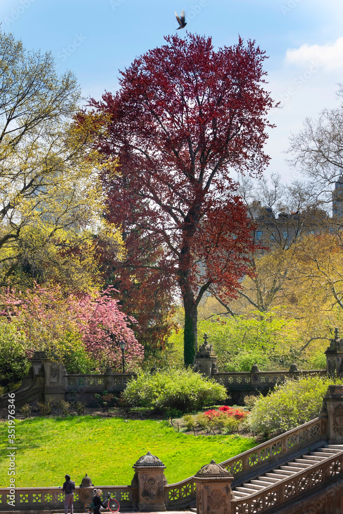 Spring in Central Park. New York