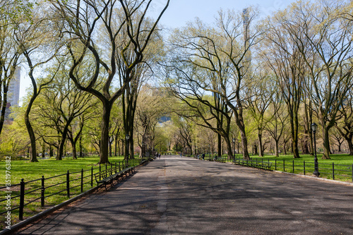 Obraz na płótnie The Mall-Central Park, Manhattan, New York City in Spring w salonie