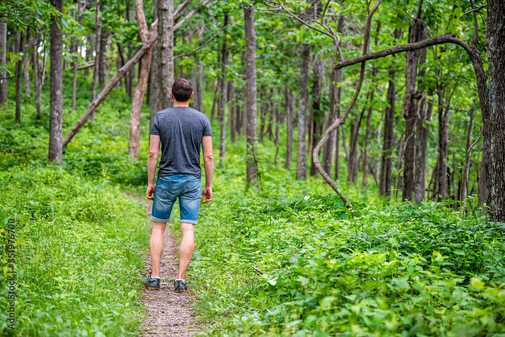 Appalachian nature trail footpath with man hiking in Shenandoah Blue Ridge mountains with green grass lush foliage on path Appalachian nature trail footpath with man hiking in Shenandoah Blue Ridge mountains with green grass lush foliage on path