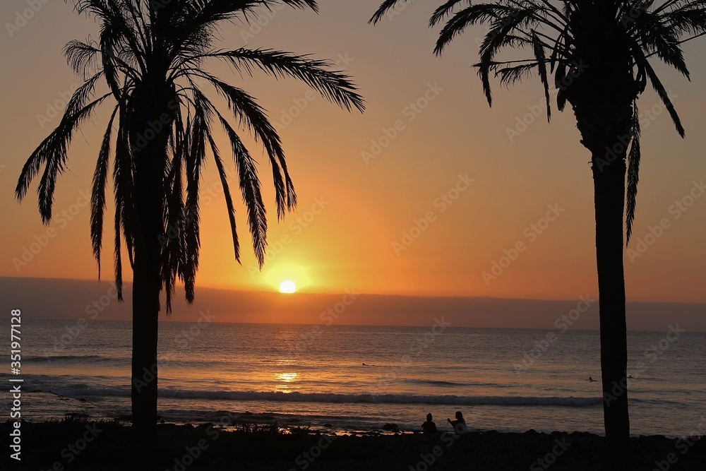 Obraz premium Palm trees in the sunset