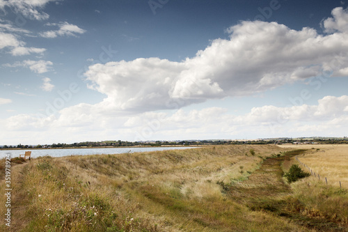 grass farmlands in the countryside of essex