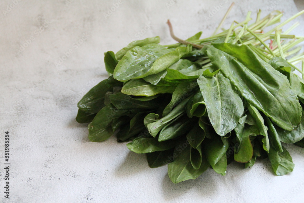 fresh spinach leaves fresh spinach leaves