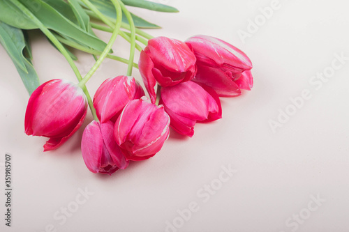 Fototapeta Naklejka Na Ścianę i Meble -  Beautiful red tulips lie on a light pink background, top view