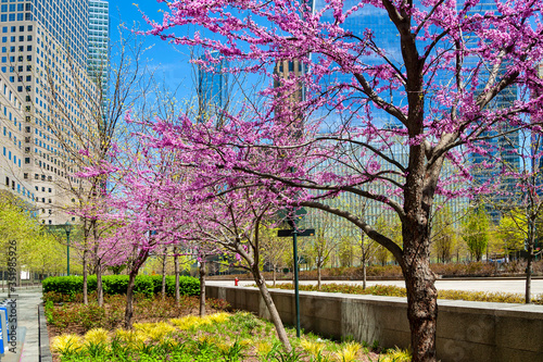 Walkway in downtown Manhattan at spring.