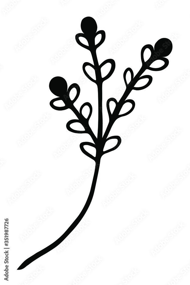 Single branch with leaves in ink Isolated on white background. Hand drawn vector decorative element in doodle style for wedding invitation and decoration, postcard, flyer, banner or website