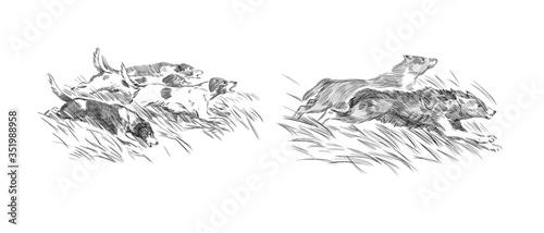 sketch of hunting wolves. dogs and wolves on a white background. engraving or drawing.