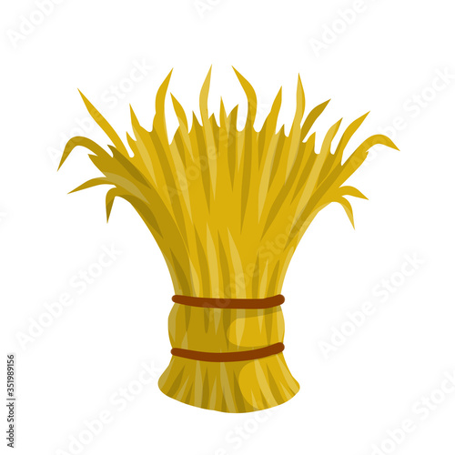 Sheaf of hay. Countryside is a Stack of wheat ears. Village harvest. Yellow dried plants. Production of natural food on the farm.