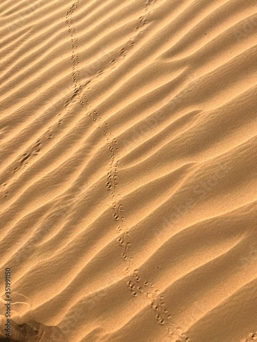 Footprints in Dubai sand © Izzy
