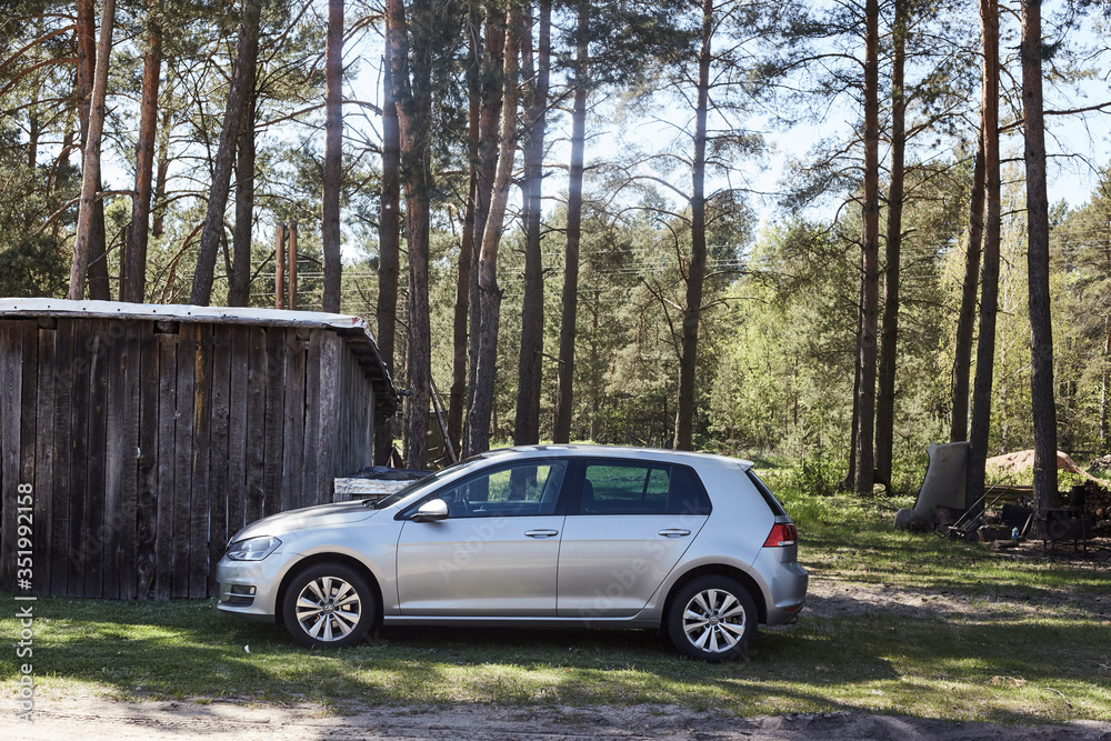 car in the forest