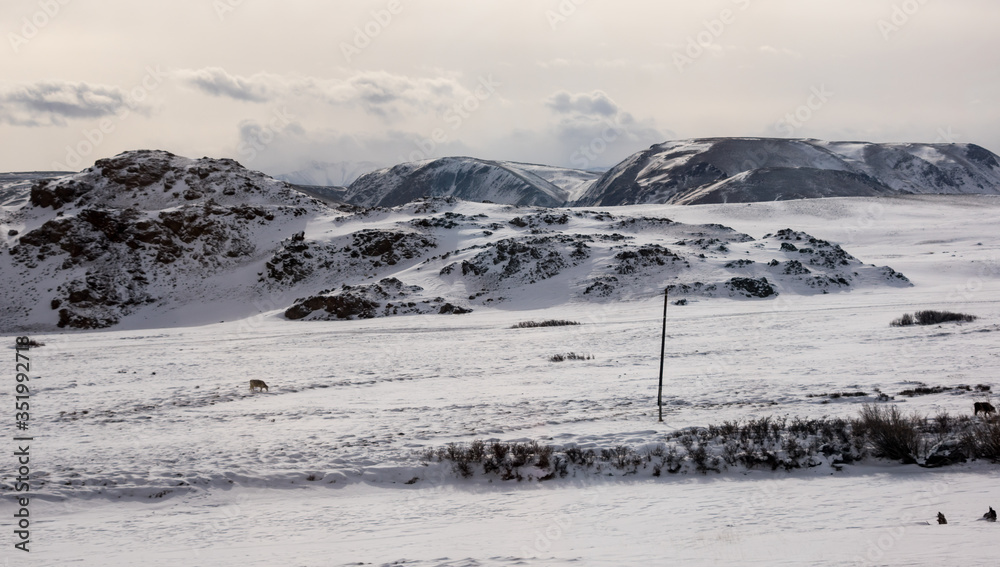 Fototapeta premium View of Altay mountains