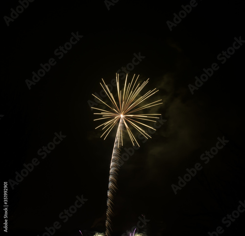 Yellow Firework
