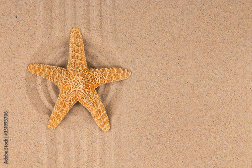 Starfish lying in the center of a circle of sand.