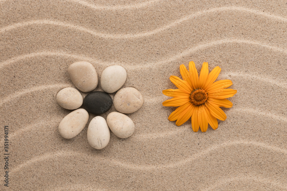Conceptual flower made of stones and yellow daisy lying on the dunes.