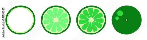 Orange tangerine grapefruit lemon lime on a white background. Vector illustration of summer fruits and citrus. Citrus icons silhouettes pictograms. Tropical fruit. Lime in parts. Slices of lime
