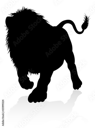 A male lion safari animal i...