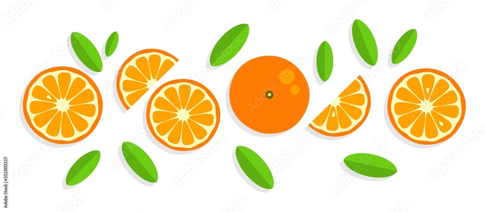 Orange background. Orange tangerine grapefruit lemon lime on a white background. Vector illustration of summer fruits and citrus. Citrus icons and silhouettes. Cute painted oranges. Tropical fruits Orange background. Orange tangerine grapefruit lemon lime on a white background. Vector illustration of summer fruits and citrus. Citrus icons and silhouettes. Cute painted oranges. Tropical fruits