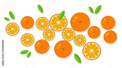 Orange background. Orange tangerine grapefruit lemon lime on a white background. Vector illustration of summer fruits and citrus. Citrus icons and silhouettes. Cute painted oranges. Tropical fruits