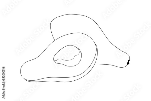 Avocado cutaway with bone. Outlines