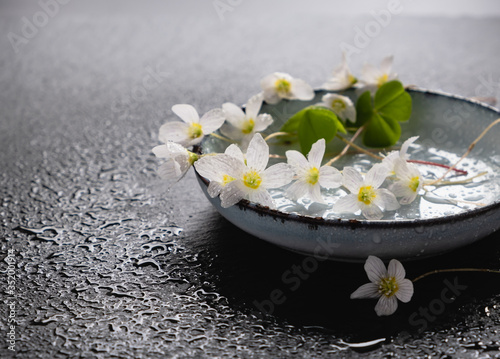 White flowers and sour leaves lie on a plate. Medicinal and edible forest plant with a sour taste for a healthy diet.