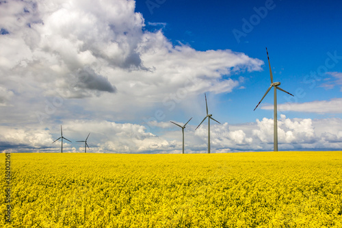 Obraz na płótnie wind farm on rapeseed field w salonie
