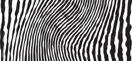 Wild Zebra Wave Pattern with black and white. Trendy Stylish Abstract Background..
