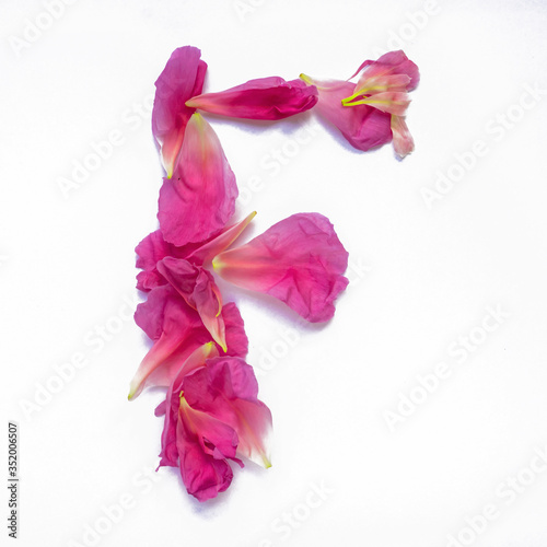 Alphabet made of peony petals. Letter F, layout for design.