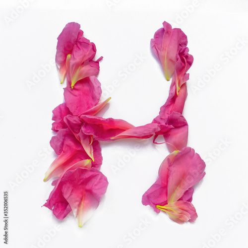 Alphabet made of peony petals. Letter H, layout for design.