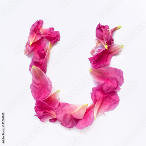 Alphabet made of peony petals. Letter U, layout for design.