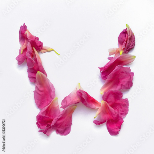 Alphabet made of peony petals. Letter W, layout for design.