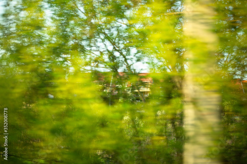 Vegetative landscape, green trees. Abstract blurry background. Photo in motion from the window of a moving car