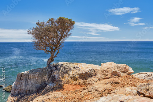 Praia do zavial