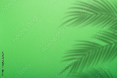 Shadow from palm leaves on a background of green wall. Green background, cardboard. Abstract image. Tropic concept