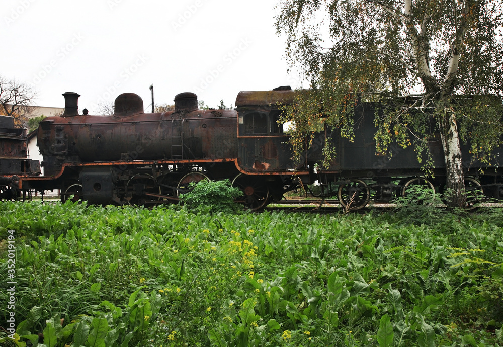 Naklejka premium Abandoned old steam locomotive in Nis. Serbia