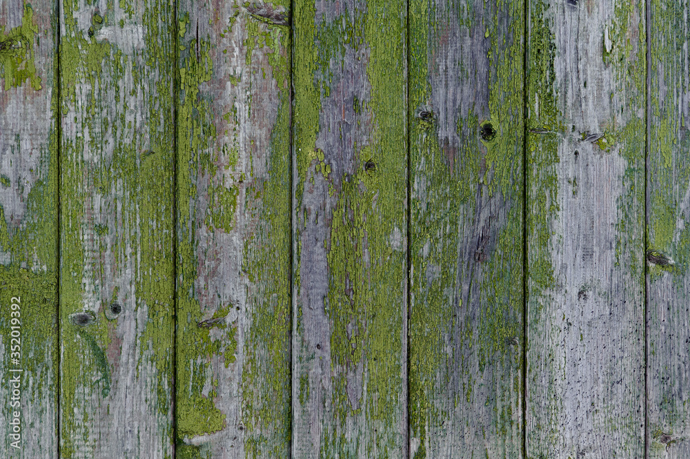 wooden background: old fence with peeling green paint wooden background: old fence with peeling green paint