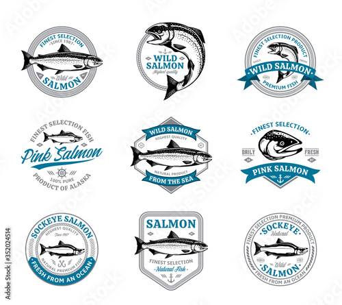 Salmon logo and design elements