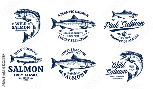 Vector salmon logo and fish illustrations