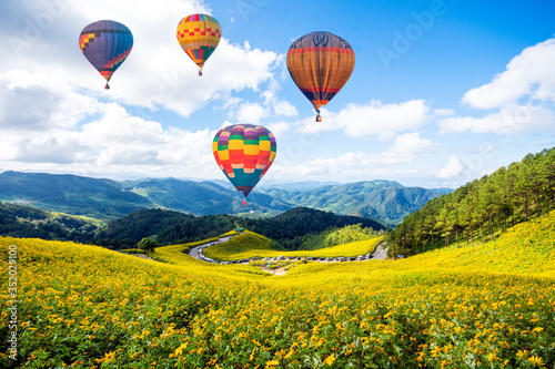 Colorful hot air balloons flying over Mexican sunflower Field sunset, Mae Hong Son Province Thailand.