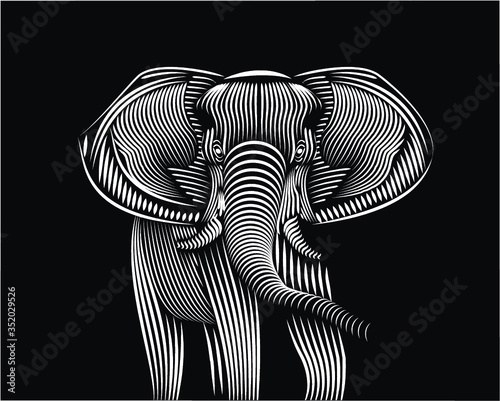 elephant