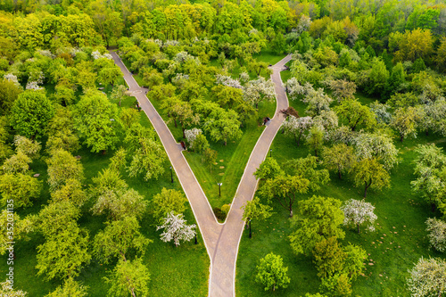 View from the height of the loshitsky Park in Minsk.Winding paths in loshitsky Park.Belarus.Apple orchard photo