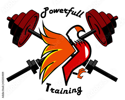 power training 