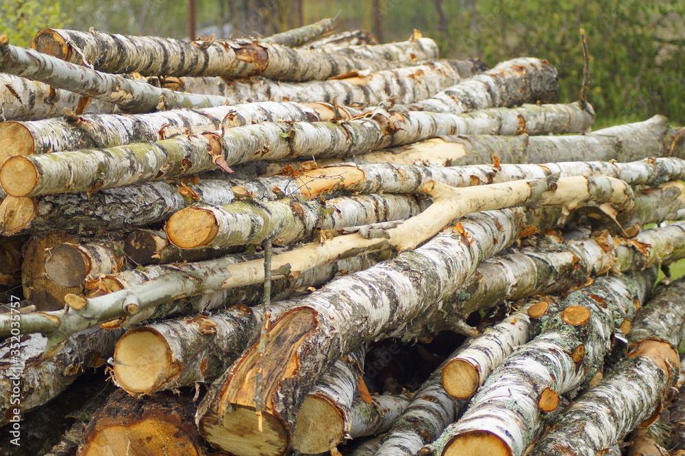 Cut trunks of birch trees are stacked in bulk.
Log trunk, logging, forest industry. Stacking logs. Harvesting wood for the furnace for winter