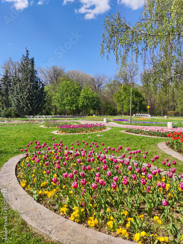 Fototapeta Naklejka Na Ścianę i Meble -  Spring view of South Park in city of Sofia