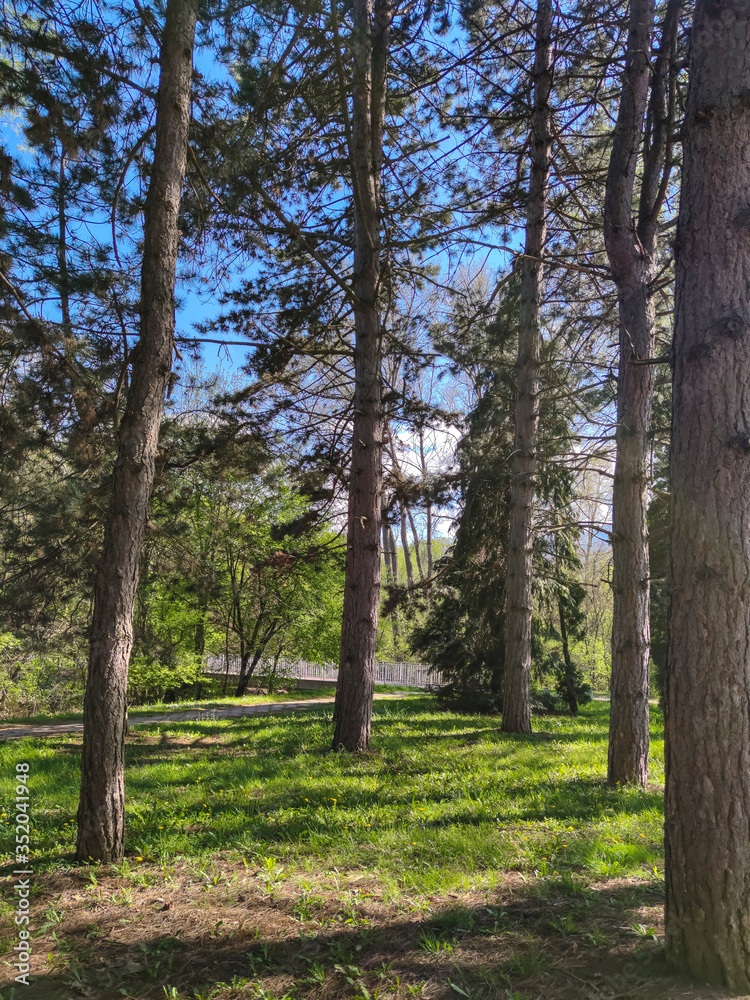 Obraz premium Spring view of South Park in city of Sofia