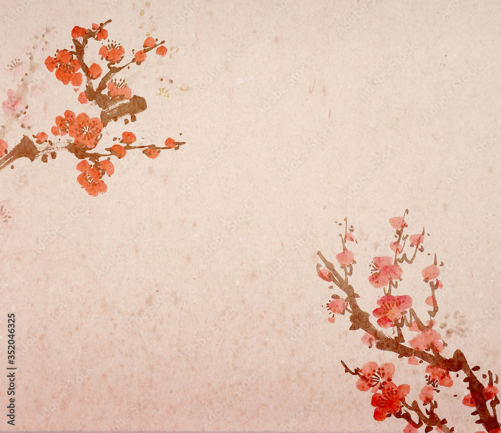Chinese painting of flowers, plum blossom on white background.