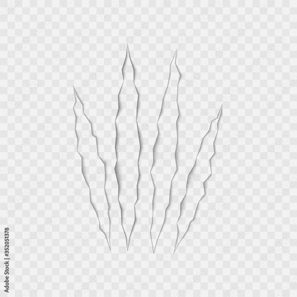 Fototapeta premium Craft of claws scratches on transparent background. Vector