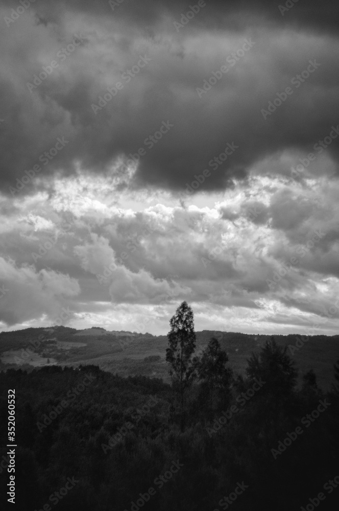 Fototapeta premium paisaje sureño, sur de chile, panguipulli