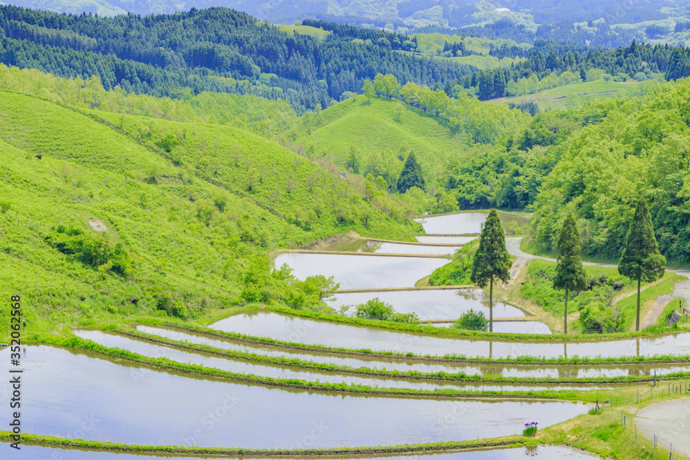 扇棚田　熊本県産山村　Ougi terraced paddy field Kumamoto Ubuyama village