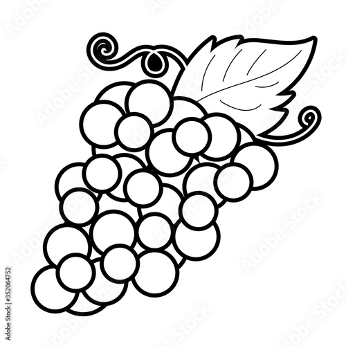 grapes fruit line style icon